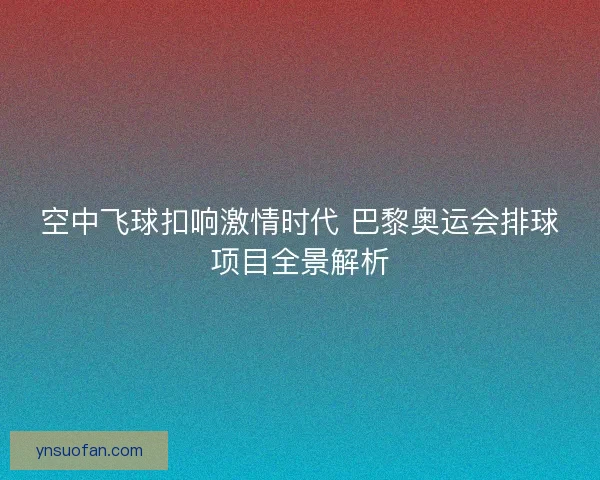 空中飞球扣响激情时代 巴黎奥运会排球项目全景解析