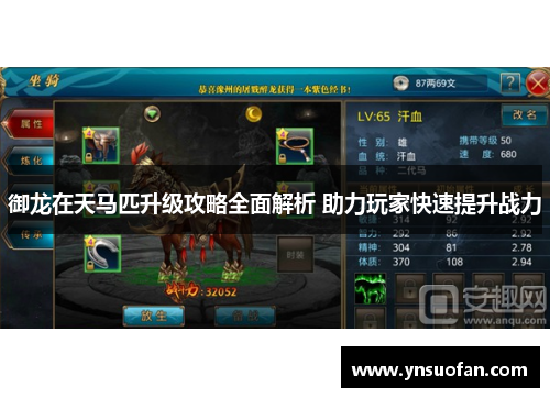 御龙在天马匹升级攻略全面解析 助力玩家快速提升战力