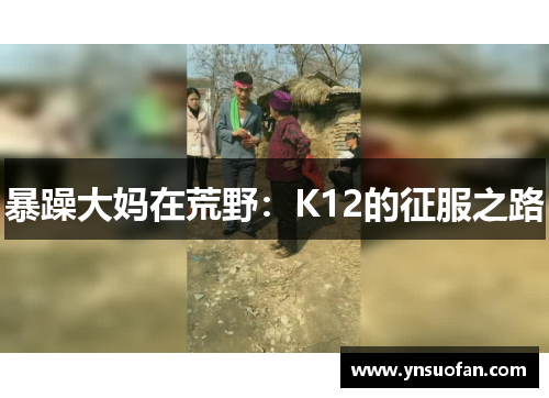 暴躁大妈在荒野：K12的征服之路